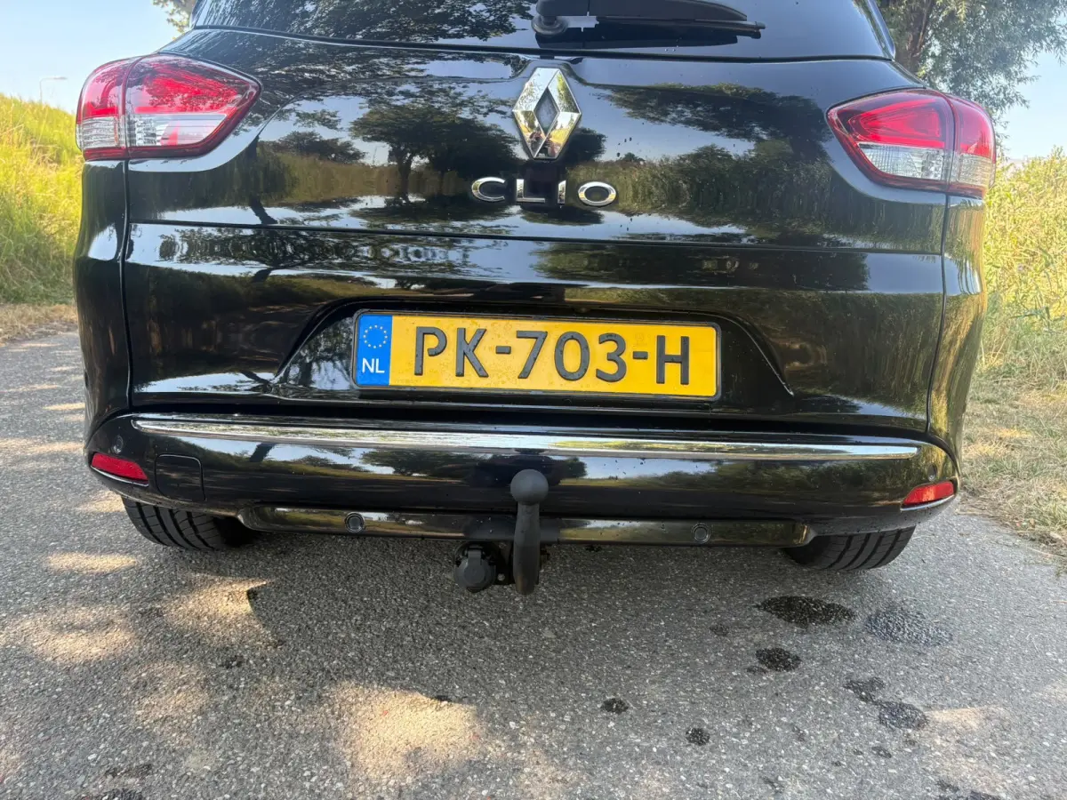 1.2 TCe Intens, Airco Cruise Trekhaak Navi Pdc