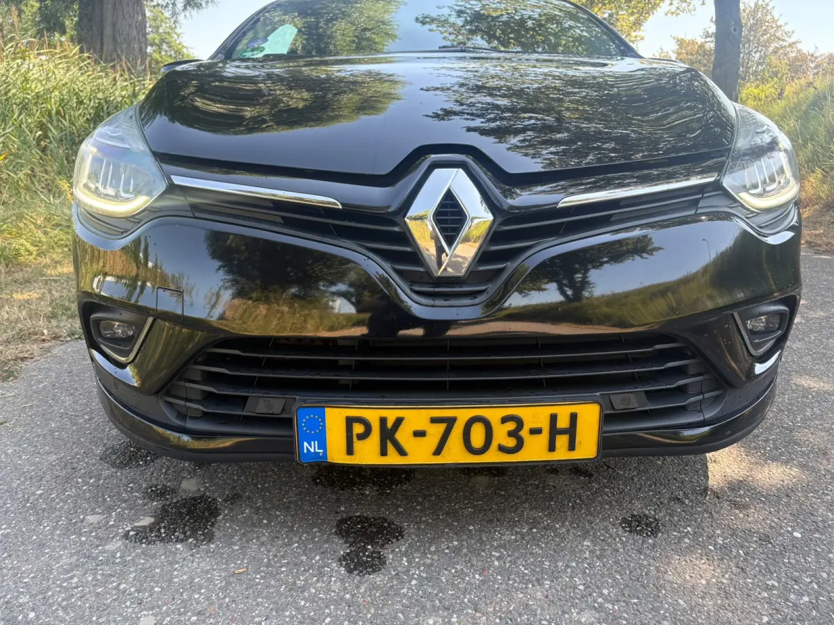 1.2 TCe Intens, Airco Cruise Trekhaak Navi Pdc