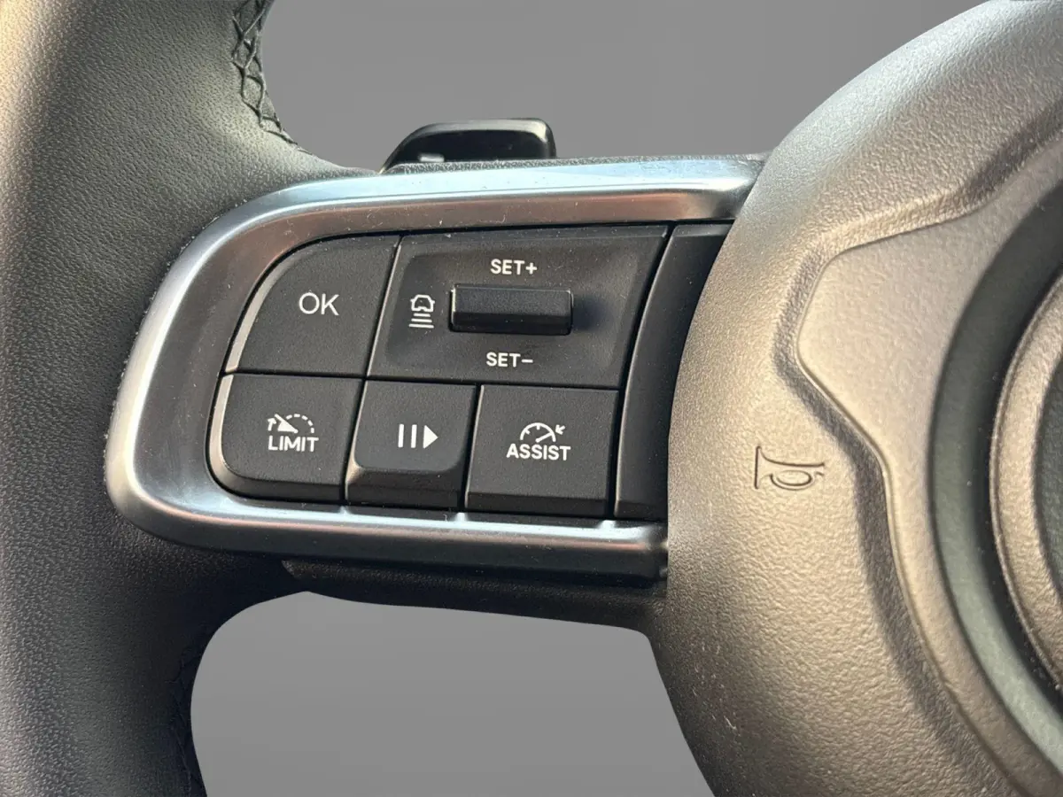 1.2 e-Hybrid Altitude | Camera | Climate control | Apple Carplay/Android Auto