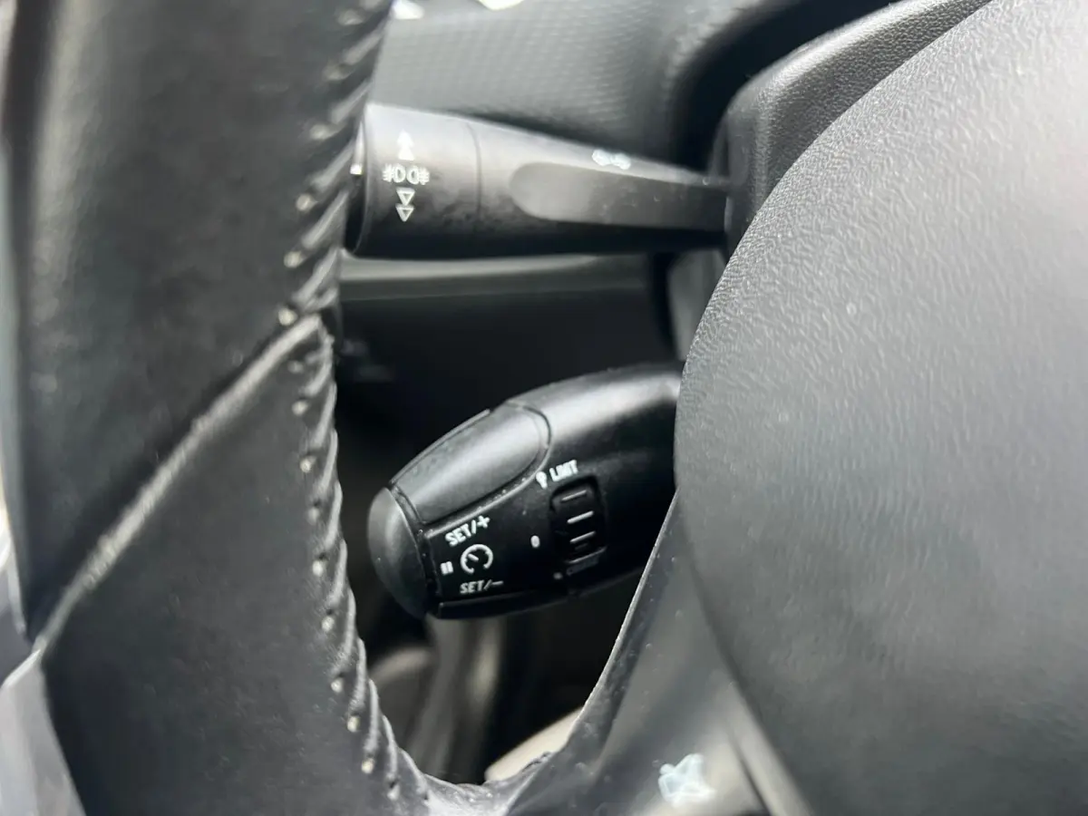 1.2 PureTech Blue Lion Pano Airco Cruise Automaat Navi Nwe Disb Riem