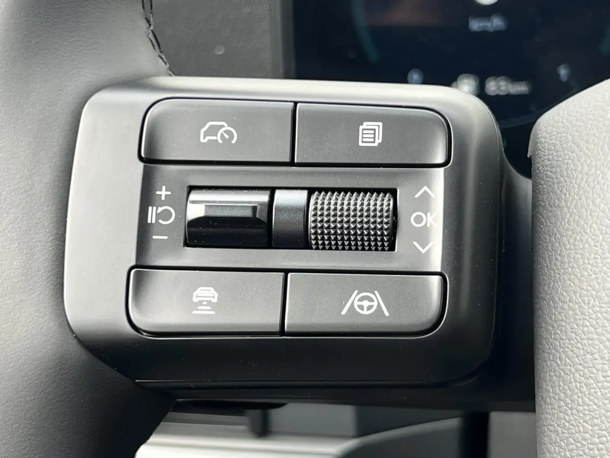 1.6 T-GDI PHEV Black Line 4WD 7p / Rijklaar incl. € 5.000,- korting voor € 66.143,- / 288 pk met 1700 KG trekvermogen / 20" / Leder zwart /