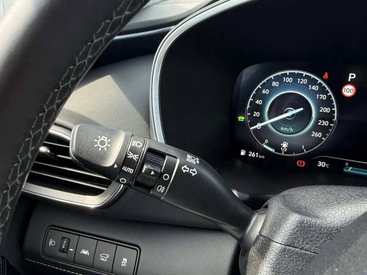 1.6 T-GDI PHEV Premium 7p. / 1e eig / Dealer onderhouden / Leder / 7 Pers. / Stoelventilatie / All Season /
