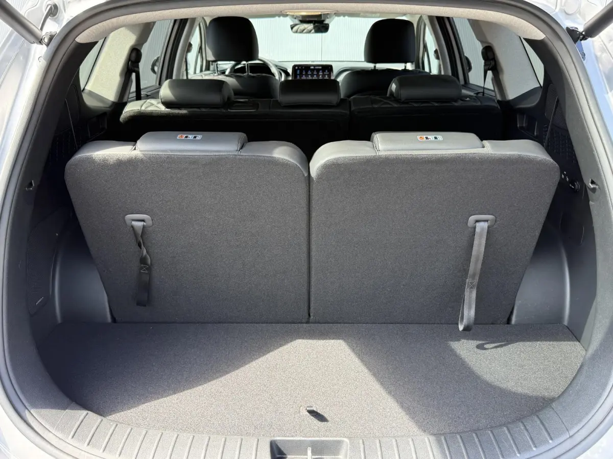 1.6 T-GDI PHEV Premium 7p. / 1e eig / Dealer onderhouden / Leder / 7 Pers. / Stoelventilatie / All Season /