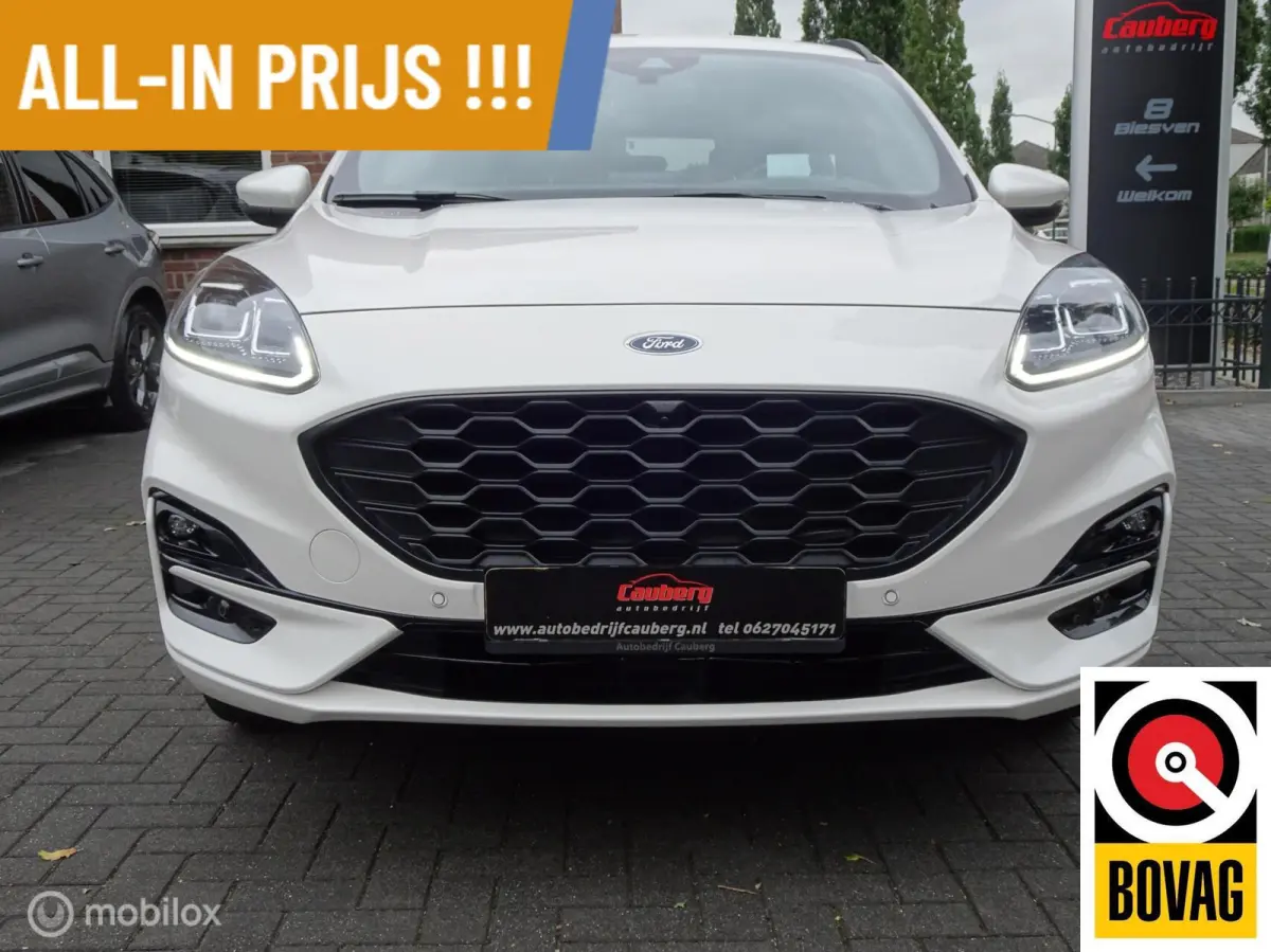 2.5 PHEV ST-Line X Bang & Olufsen Soh 99% !!!