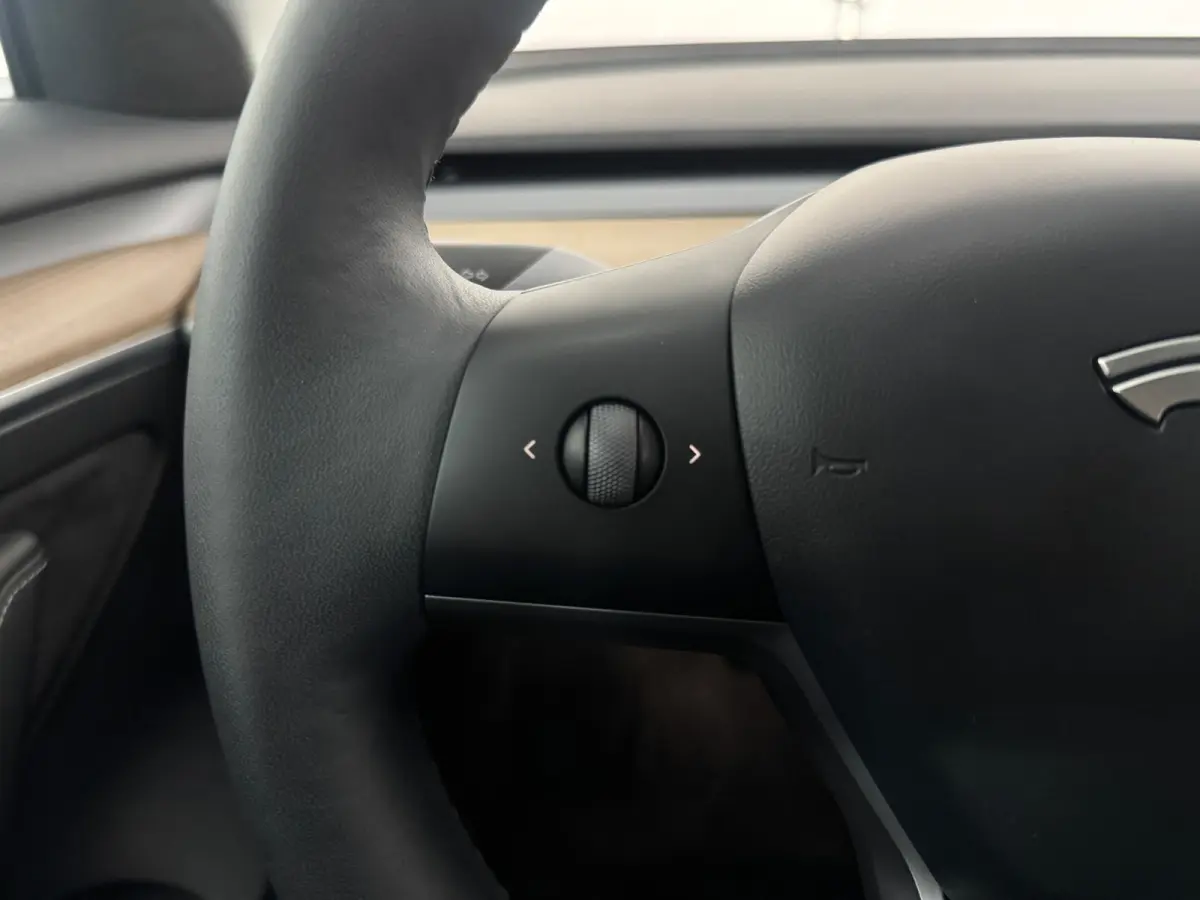 Long Range AWD 75 kWh|INCL BTW| INRUIL MOGELIJK|