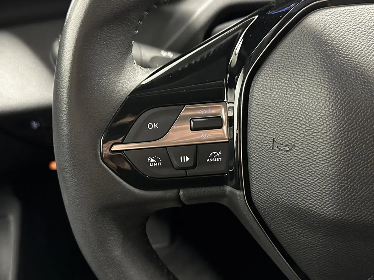 1.2 PureTech Active Pack Business CARPLAY NAVI CRUISE ECC.