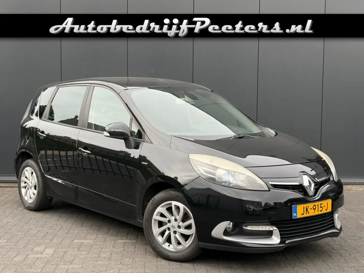 1.2 Tce Limited Xenon Navi Cruise Trekhaak NW-D.riem 4-seizoensbanden