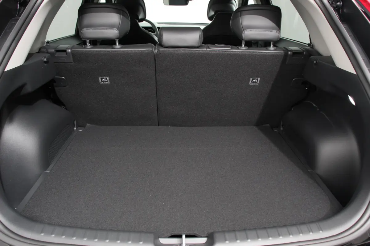 ExecutiveLine 64.8 kWh Navigatie Half Leder Schuif-kantel dak Elektrische bedienbare achterklep DAB Led Camera