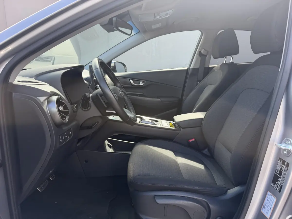 EV Comfort Smart 39 kWh / Accu SOH 91% / Warmtepomp / Navigatie / Adaptieve Cruise / CCS Laden / Dodehoek Detectie / Camera / PDC / Krell Audio / Apple Carplay & Android Auto /