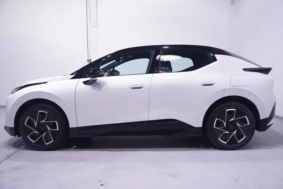 Core 66 kWh SOH 99% Apple Carplay Panoramadak Achteruitrijcamera Clima Stoelverwarming Navi LMV "19"
