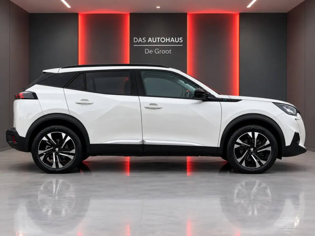 EV Allure Pack 50kWh | 3 Fase | Camera | Carplay