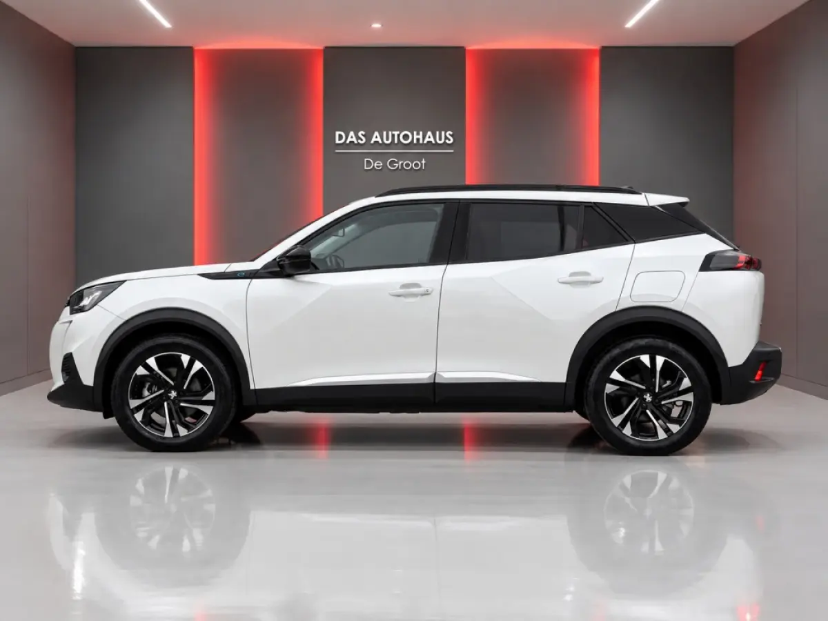 EV Allure Pack 50kWh | 3 Fase | Camera | Carplay