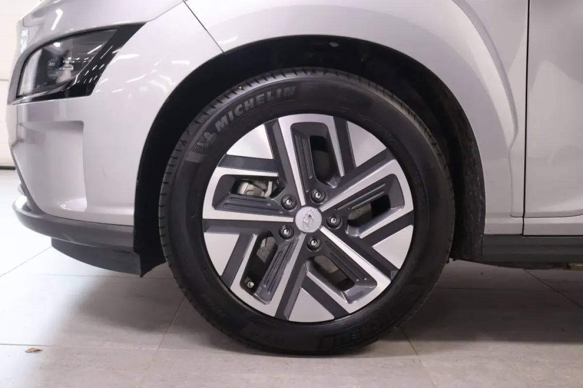 EV Pure 64 kWh