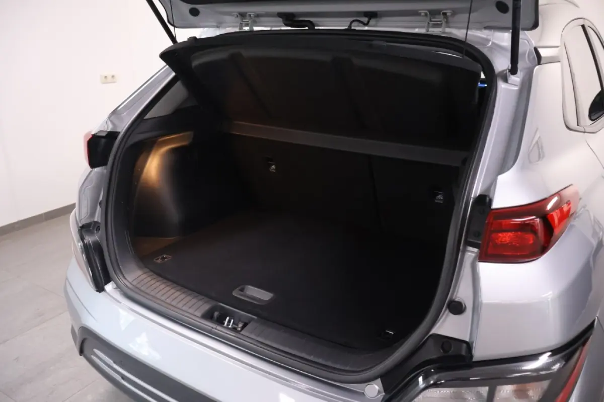 EV Pure 64 kWh