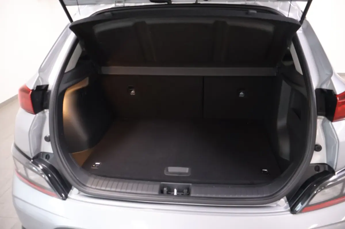 EV Pure 64 kWh