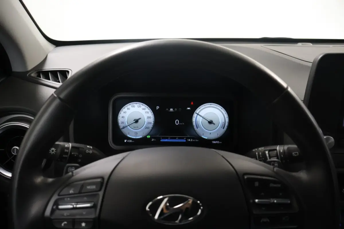 EV Pure 64 kWh