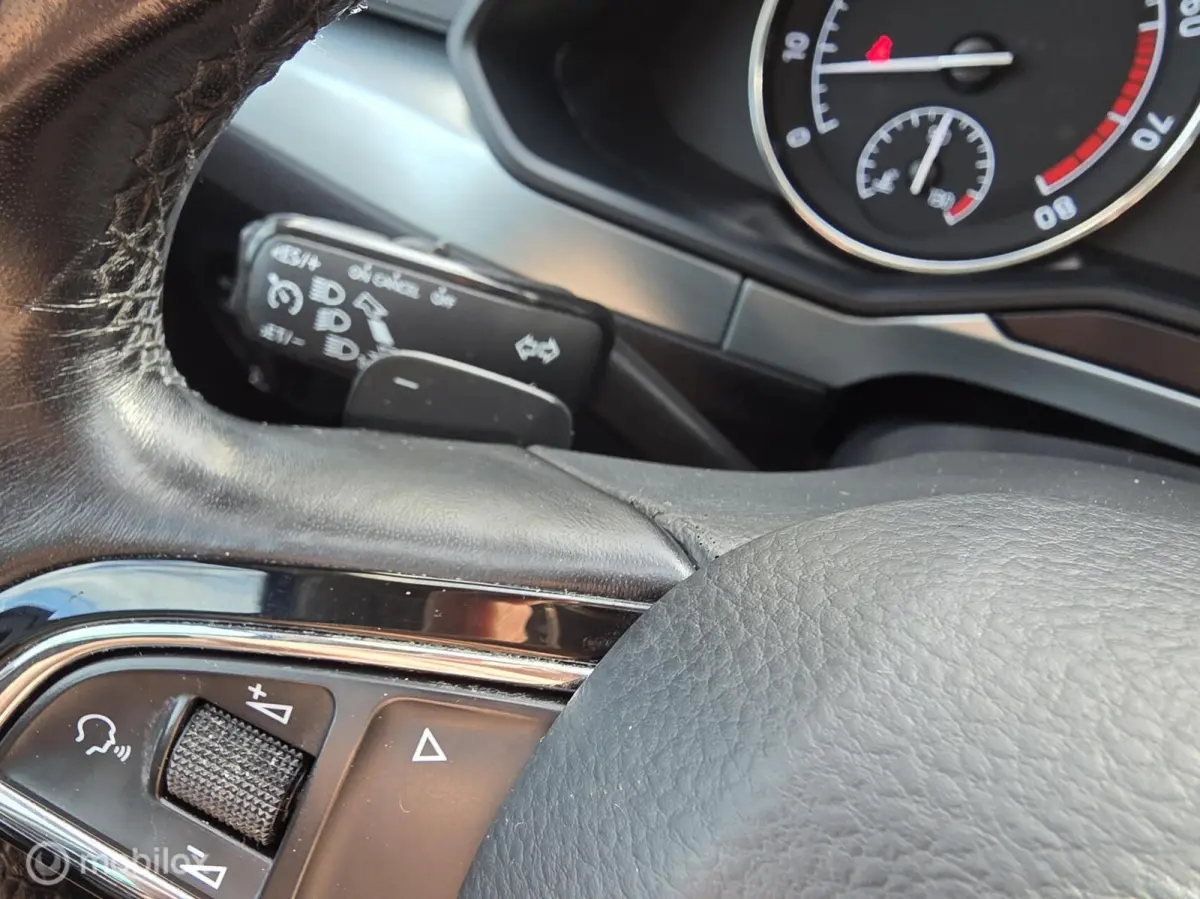 1.4 TSI/150pk/dsg/pano dak/carplay/trekh