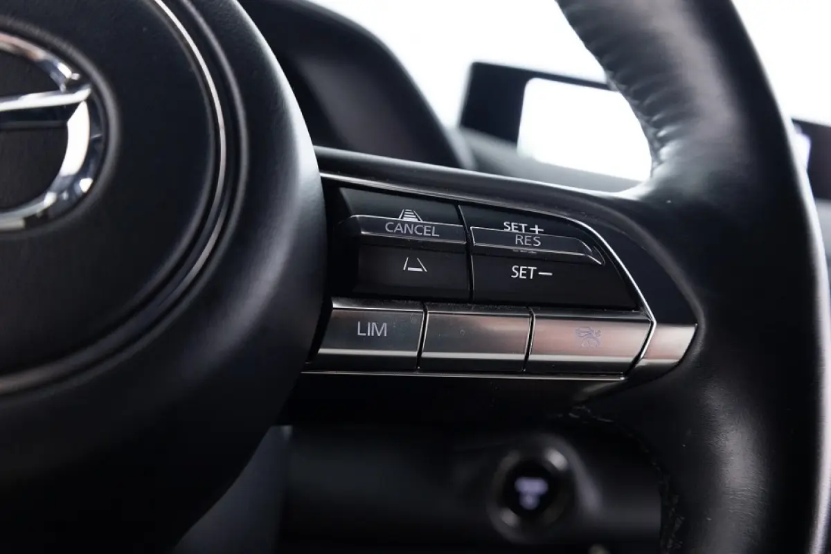 e-SkyActiv 145 Comfort 36 kWh *94,31% SOH*