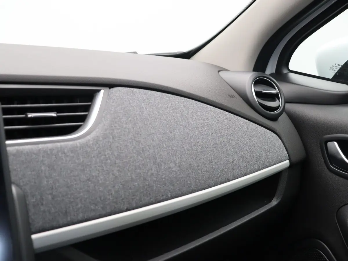 R110 Zen 52 kWh | Accu koop | CCS | 93% SOH | Airconditioning | Apple Carplay / Android auto | Lichtmetaal | Achteruitrijcamera |