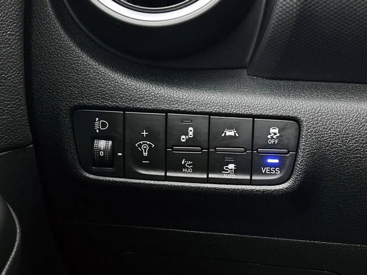 EV Premium 64 kWh | Apple Carplay/Android Auto| Adaptieve Cruise Control | Camera