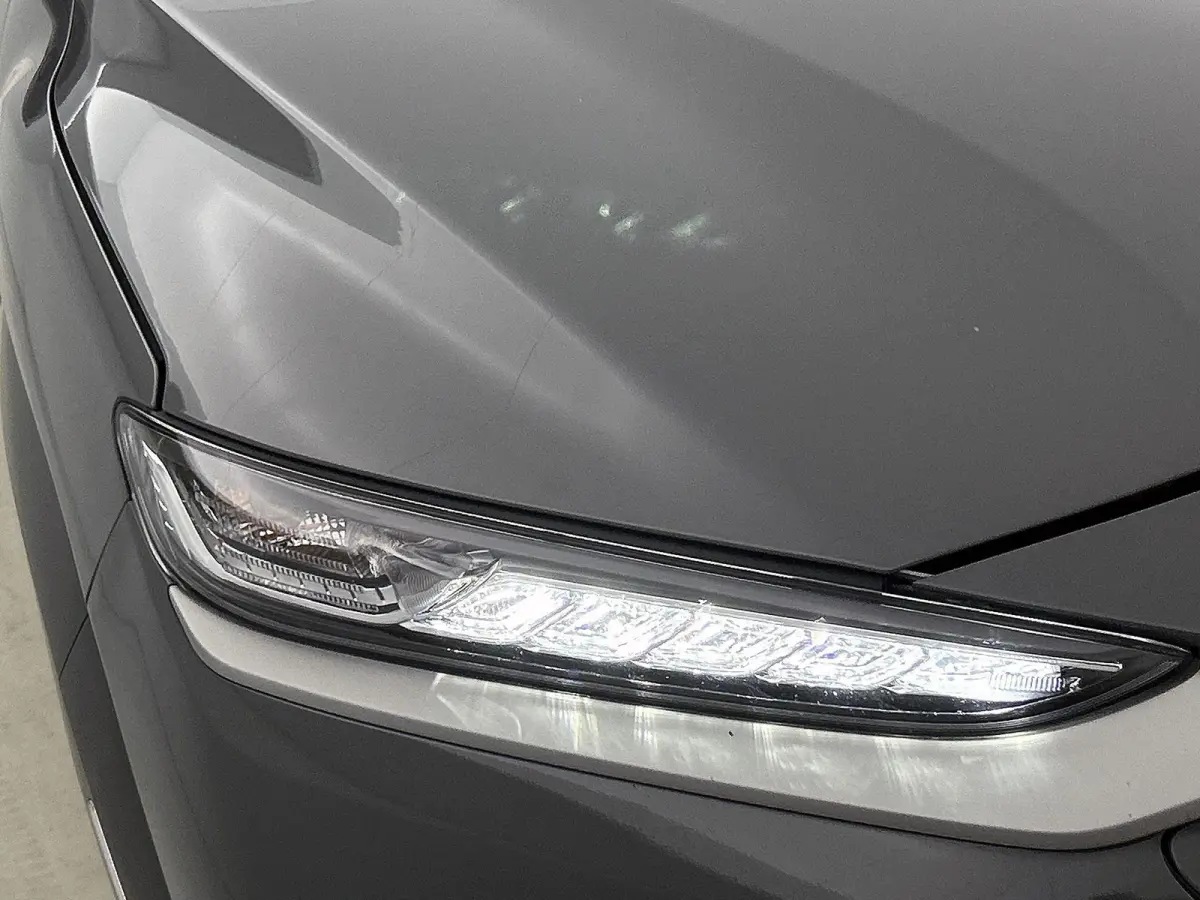 EV Premium 64 kWh | Apple Carplay/Android Auto| Adaptieve Cruise Control | Camera