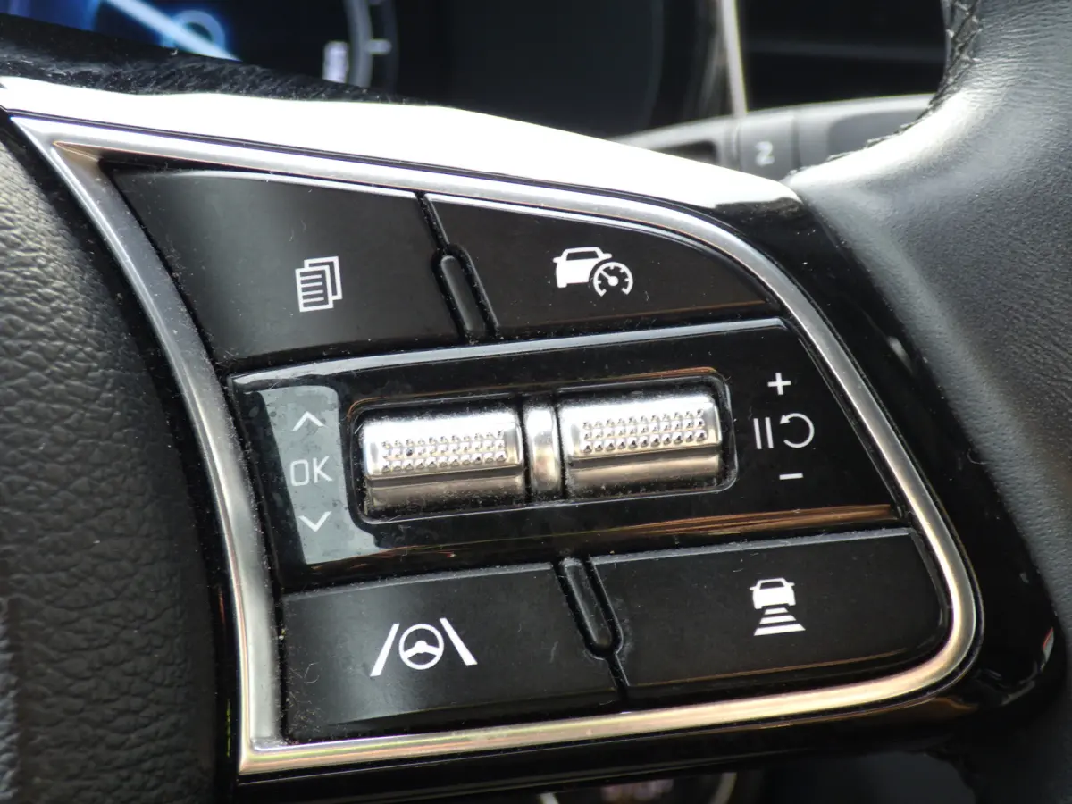 1.6 GDI PHEV AUT, ExecutiveLine, Plug-In, Camera, Carplay, Cruise!