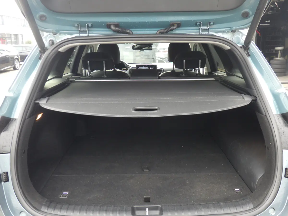 1.6 GDI PHEV AUT, ExecutiveLine, Plug-In, Camera, Carplay, Cruise!
