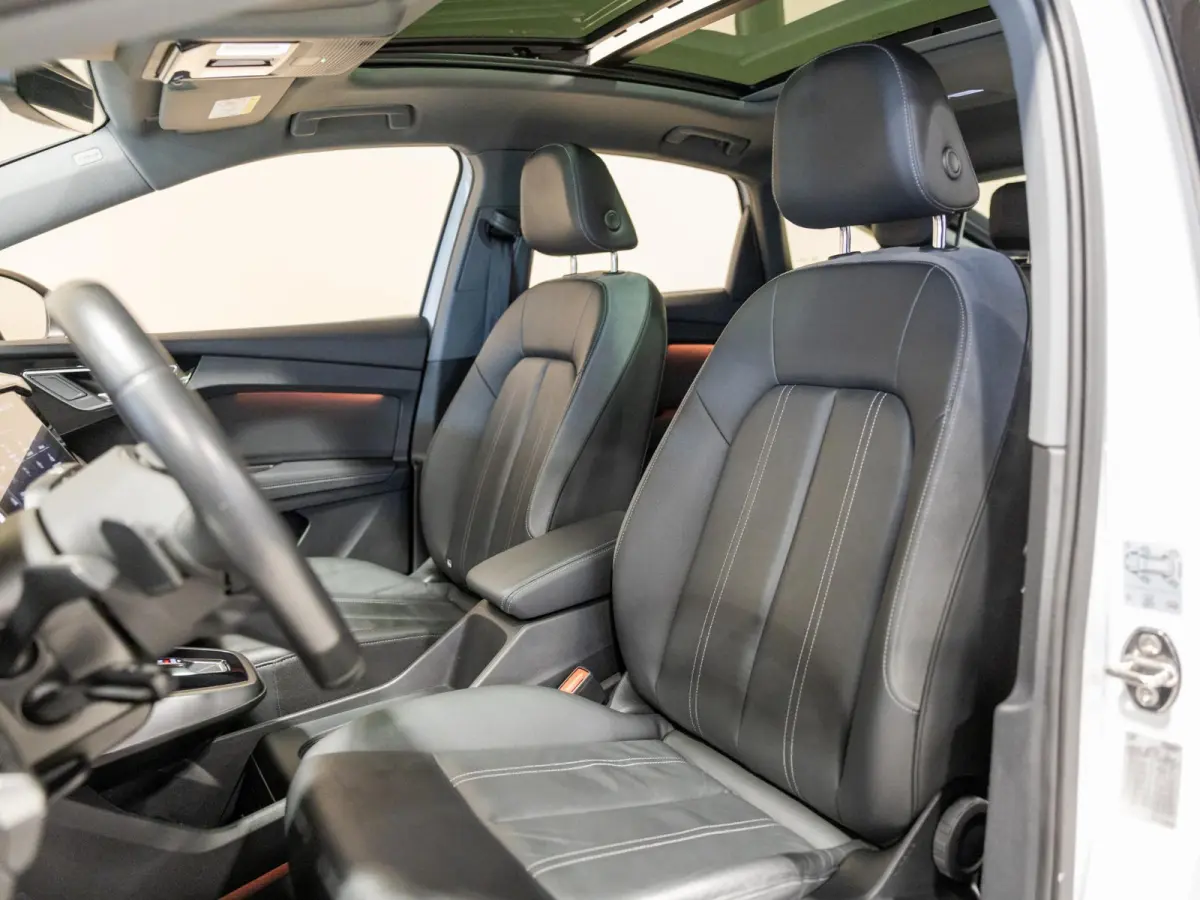 40 S edition 77 kWh SOH 93% / 204pk / Panoramadak / Leder
