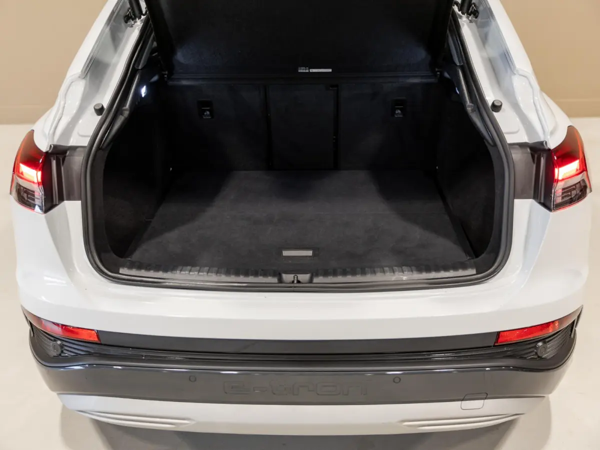 40 S edition 77 kWh SOH 93% / 204pk / Panoramadak / Leder