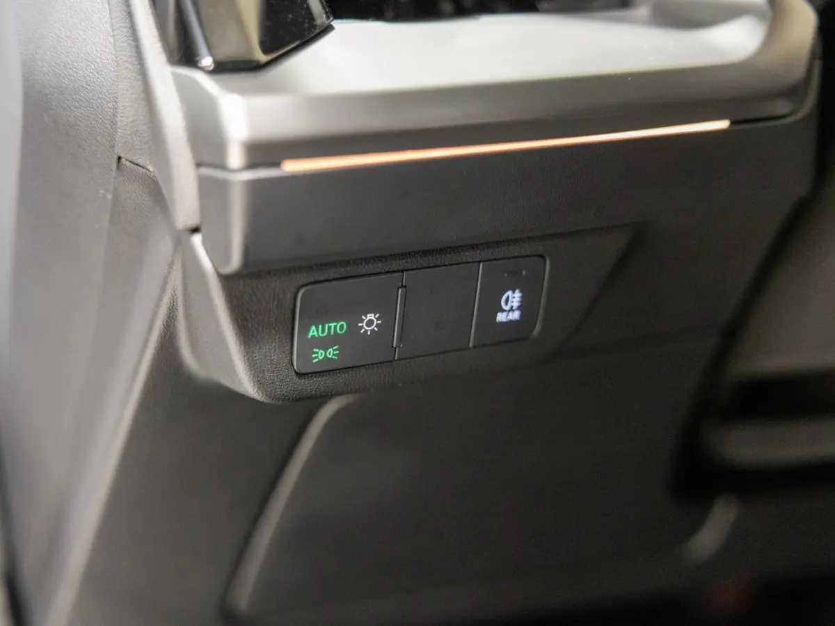40 S edition 77 kWh SOH 93% / 204pk / Panoramadak / Leder