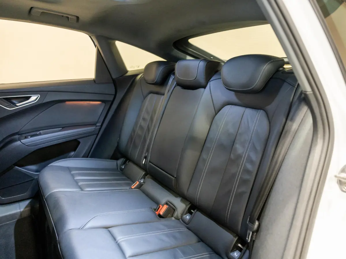 40 S edition 77 kWh SOH 93% / 204pk / Panoramadak / Leder