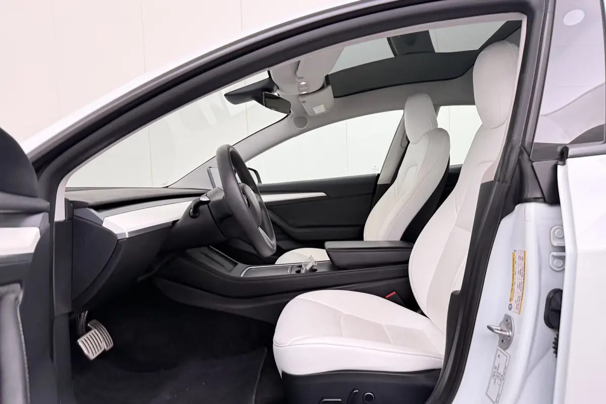 Performance AWD 75 kWh (90% SOH) 463 PK 20'LMV Pano-Dak FSD