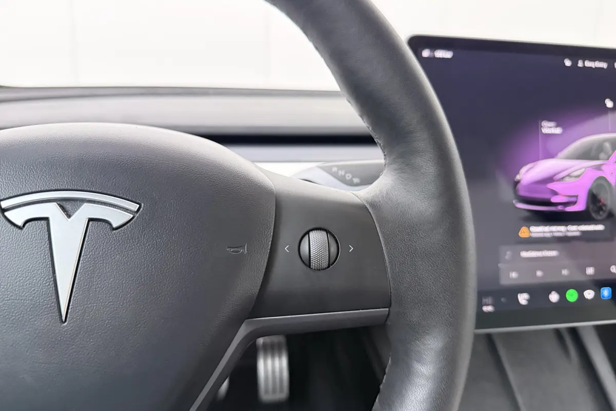 Performance AWD 75 kWh (90% SOH) 463 PK 20'LMV Pano-Dak FSD