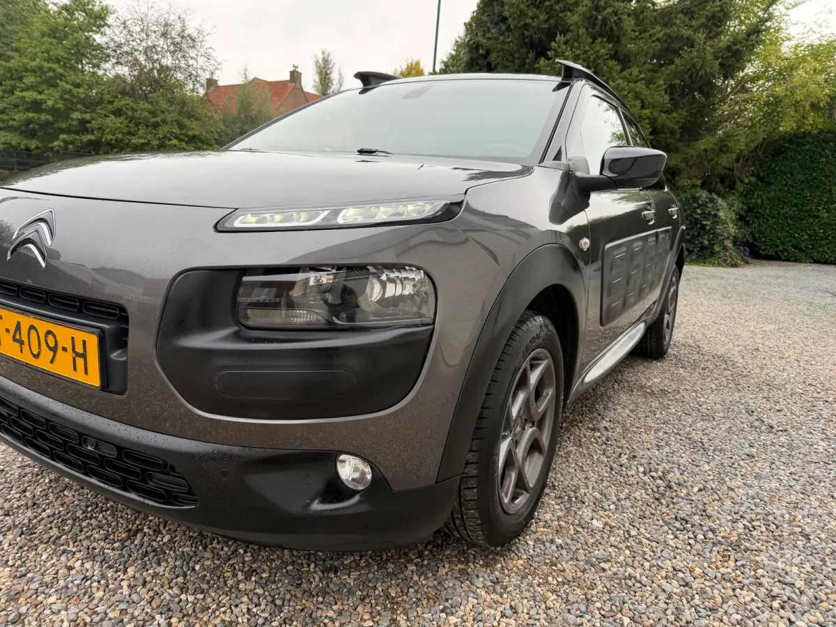1.2 PureTech Business NEW-DISTRIBUTIE.PANO.CRUISE!