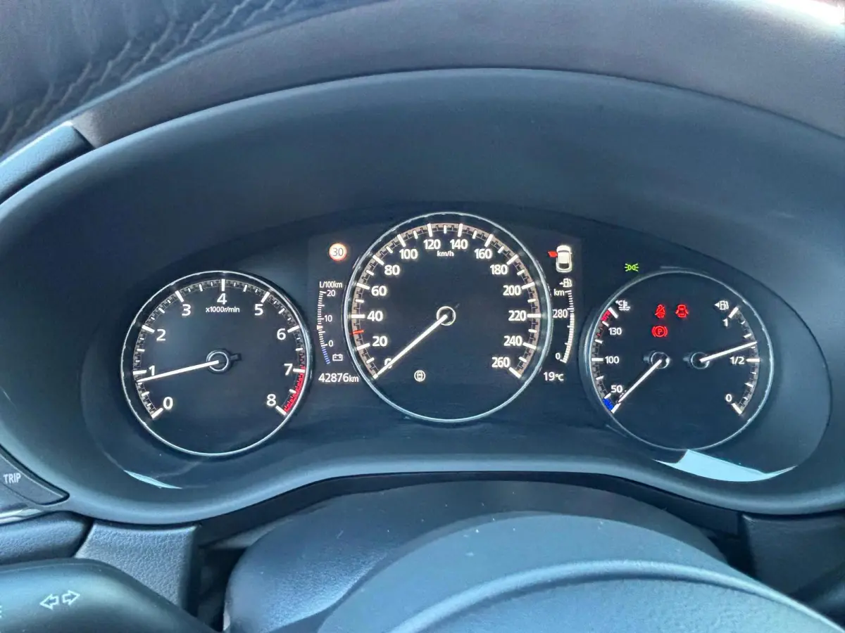 2.0 e-SkyActiv M Hybrid|veel ACC.
