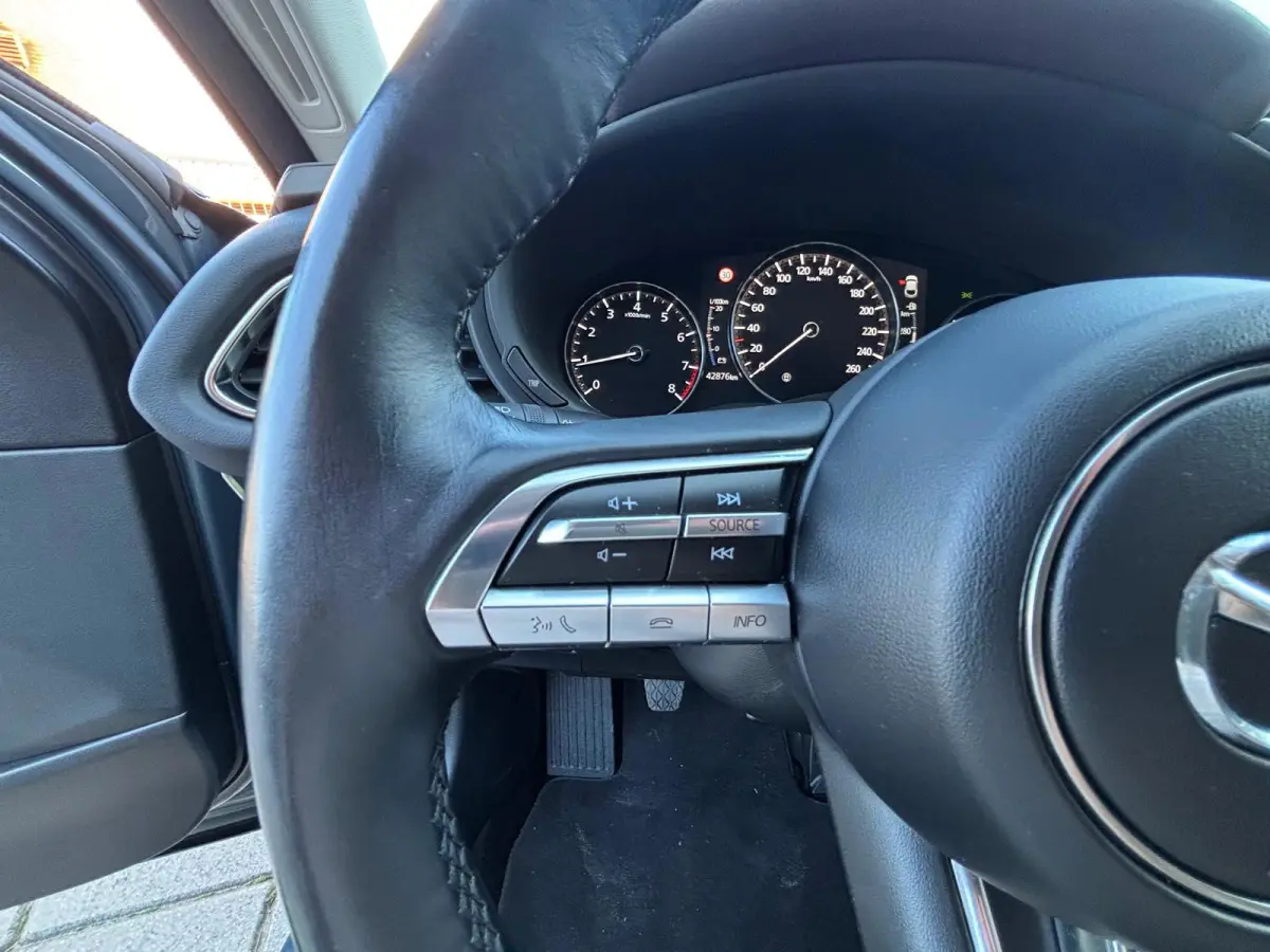 2.0 e-SkyActiv M Hybrid|veel ACC.