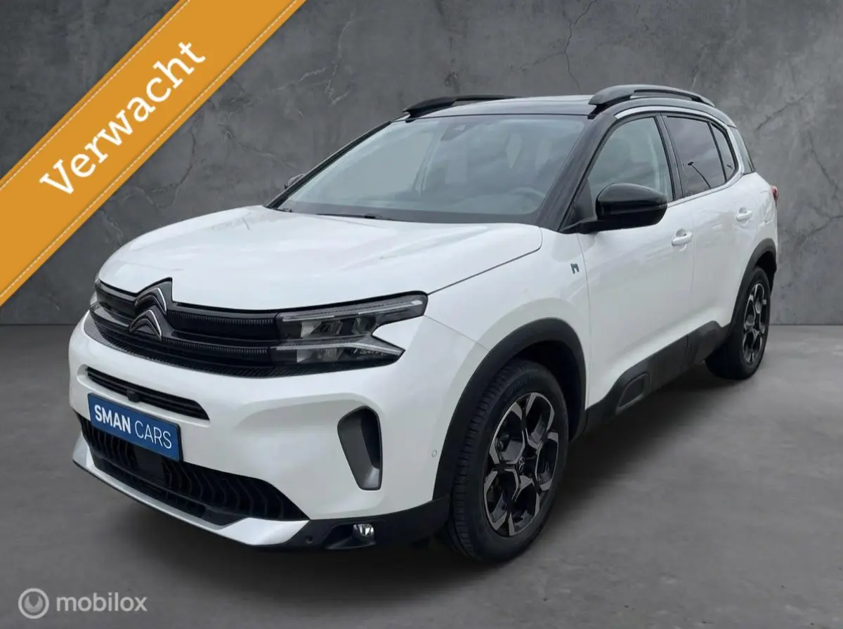 225 PK HYBRID SHINE 12 MND BOVAG RIJKLAAR PRIJS
