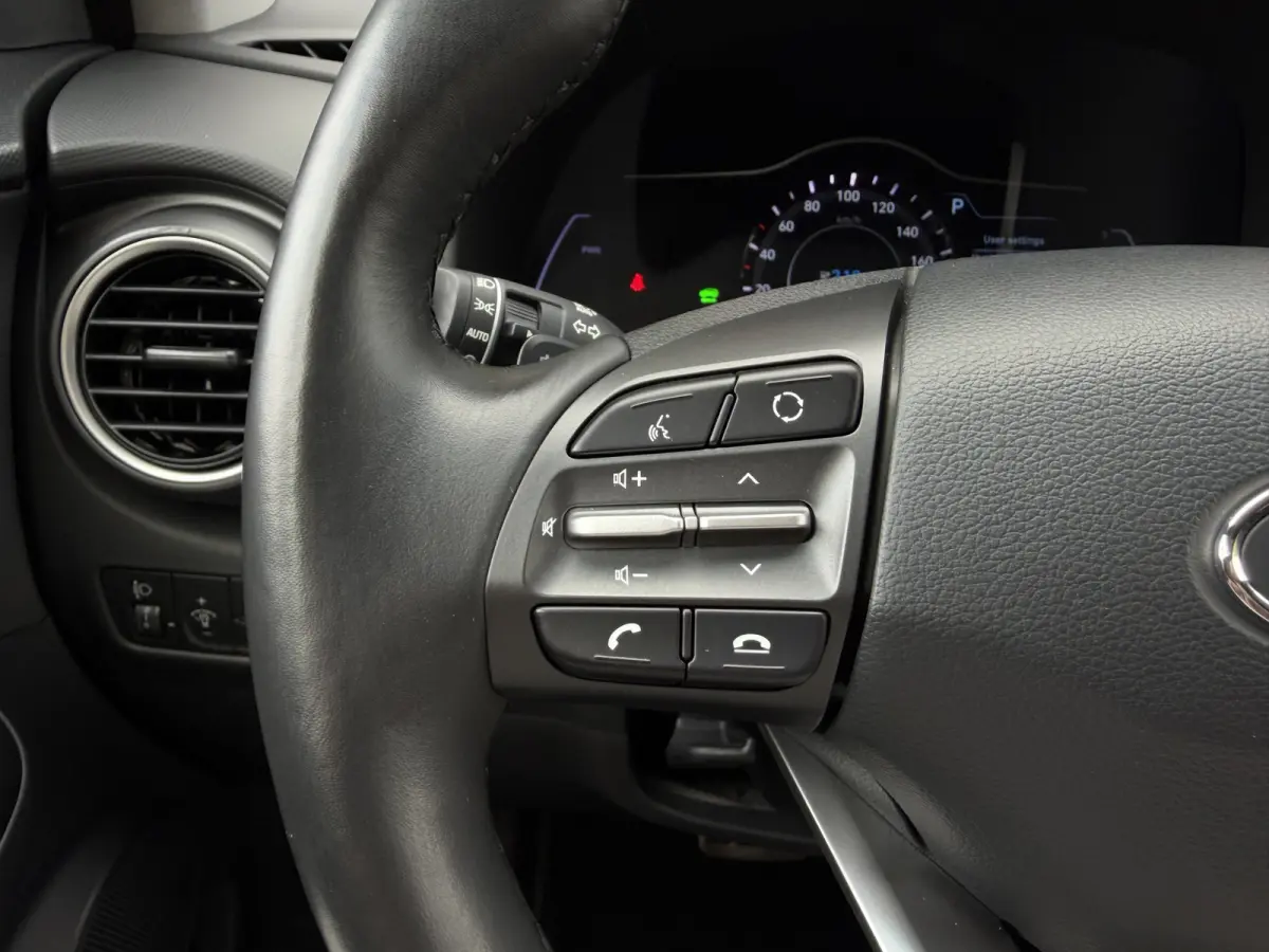 EV Premium 64 kWh / Warmtepomp / Keyless / Stoelverw. + ventilatie / HU-display