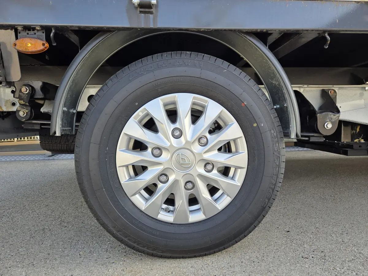 L4 65 kWh Airco Cruisecontrol Stoelverwarming Open laadbak / Pick-up N1