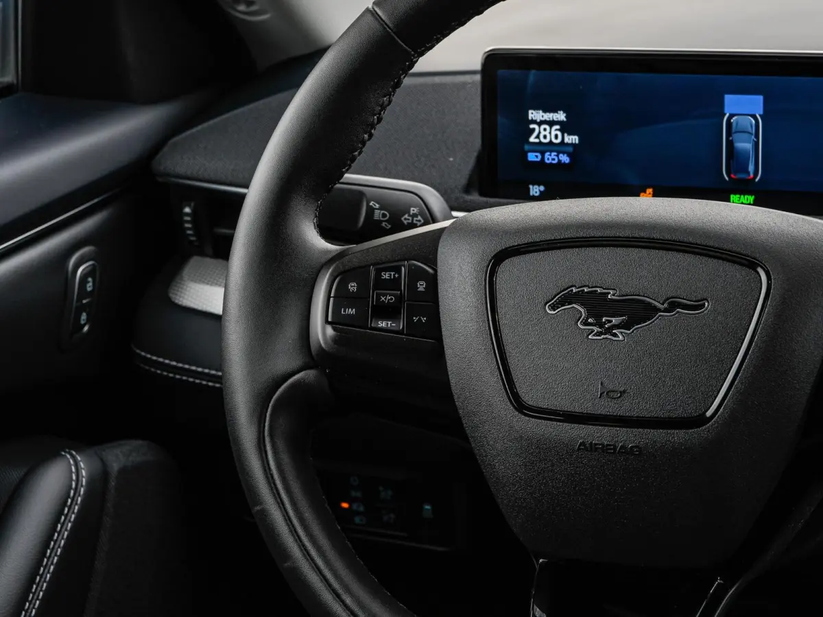 Extended RWD 98 kWh | SOH 97,5% | Camera | Leder | Keyless | ACC | Apple Carplay/Android Auto | Stoel-/Stuurverwarming | 18" | Dealeronderhouden