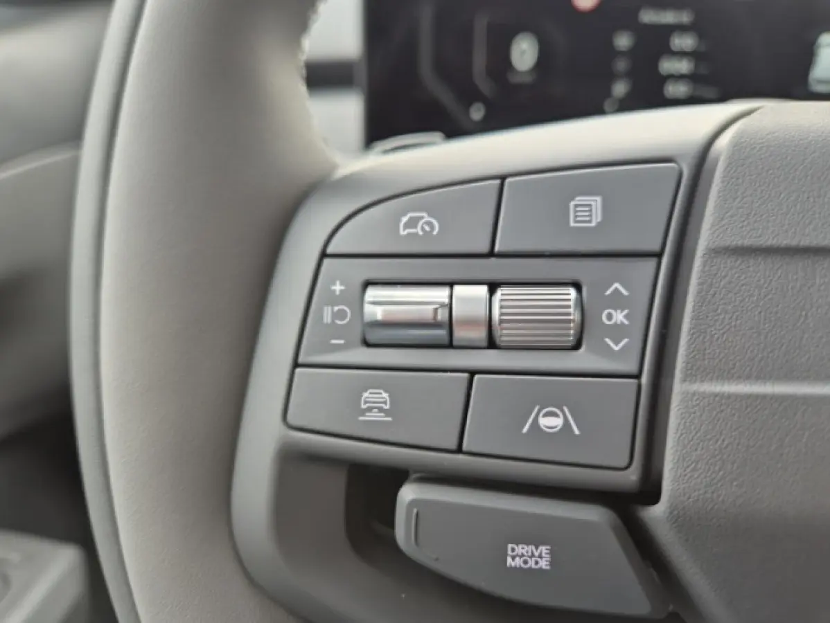 Plus Advanced 81.4 kWh | Informeer naar beschikbaarheid | NU €3.795 inruilvoordeel! | 563km actieradius