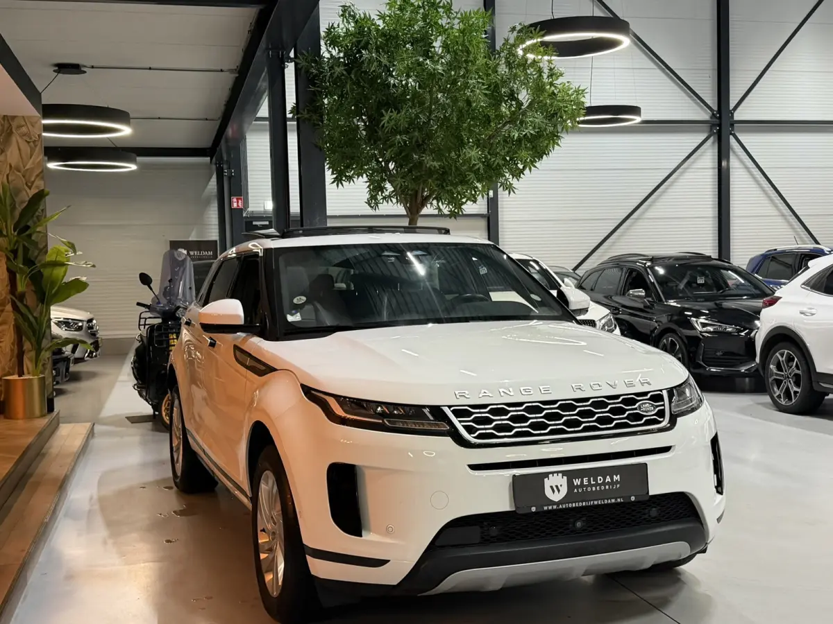 1.5 P300e AWD Garantie|1e Eig|Pano|360°|Leder|CarPlay|Memory|Camera