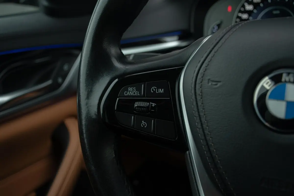 530e iPerformance eDrive Luxury line | Camera