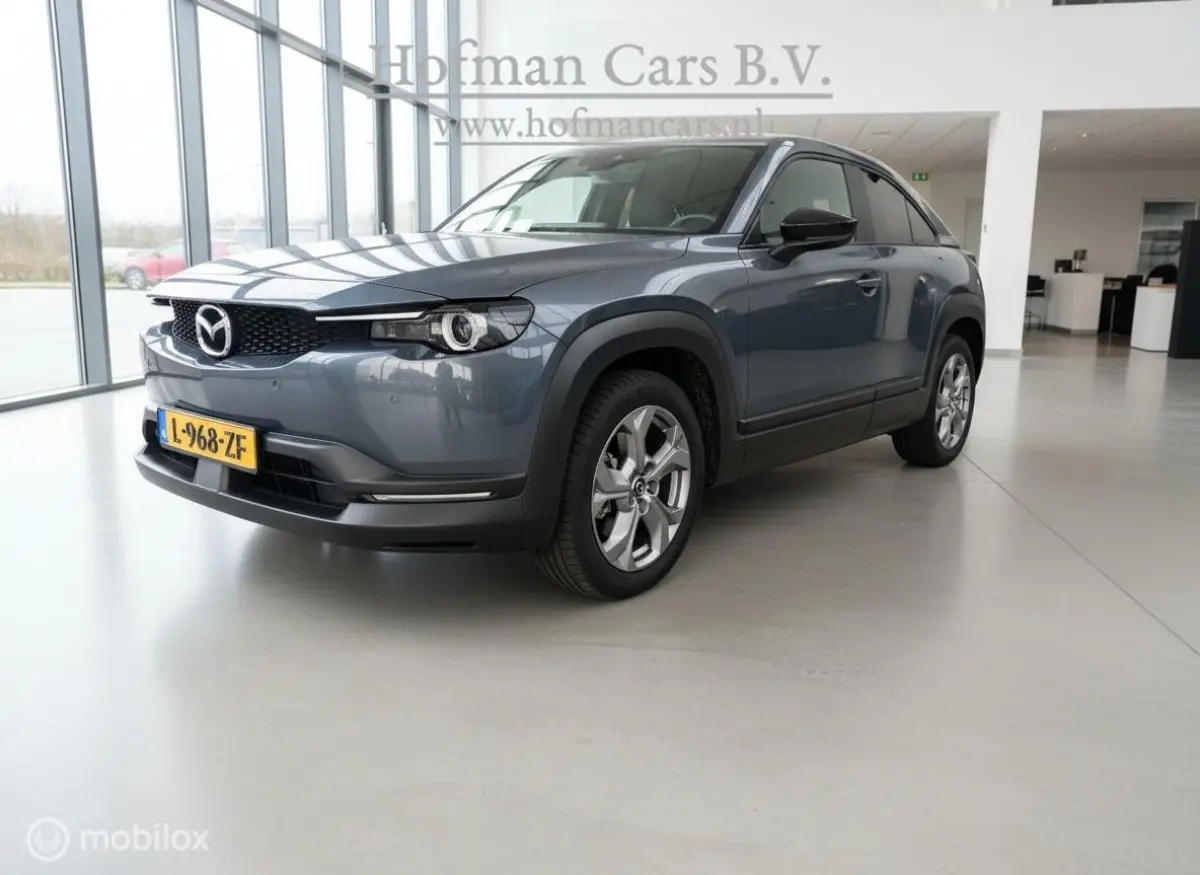 e-SkyActiv 145 36 kWh | Grijs | SOH 95,75% | MOBA | Stoel- & Stuurverwarming