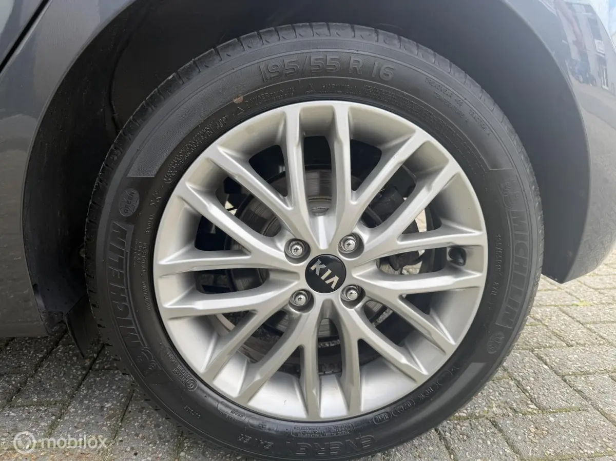 1.0 TGDI DynamicLine | Camera | Stoelverw | Stuurver