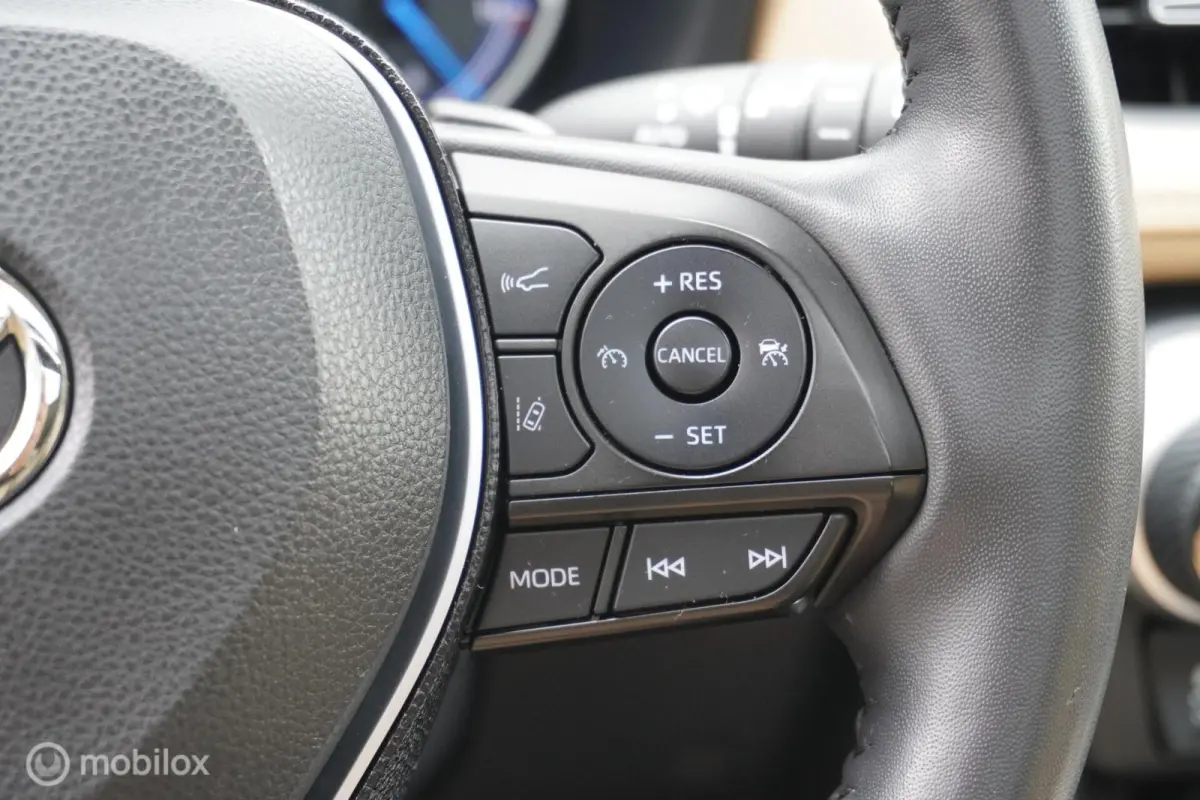 2.5 Hybrid AWD Executive