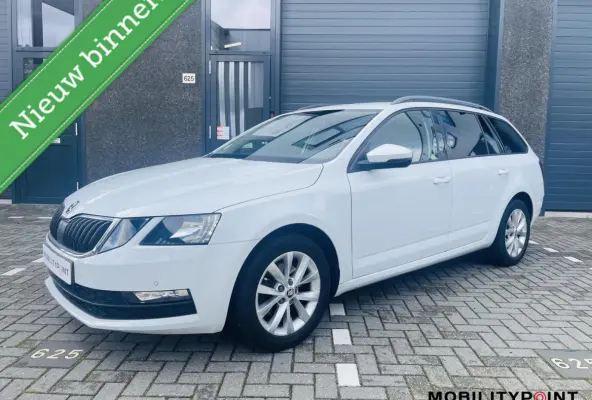 1.0 TSI Greentech Ambition|Aut|Carplay|Camera