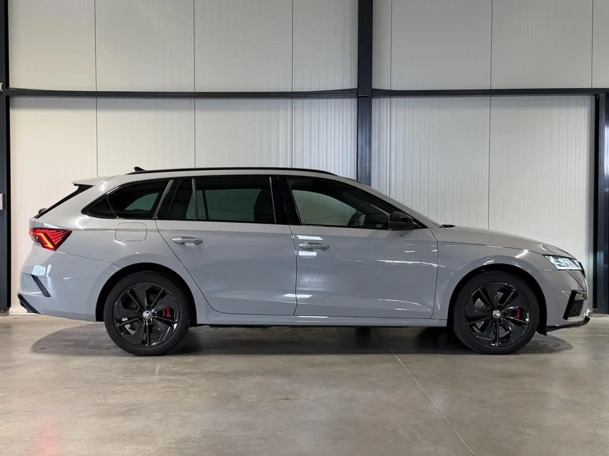 1.4 TSI RS iV PHEV Camera Head-up Memory Sfeer