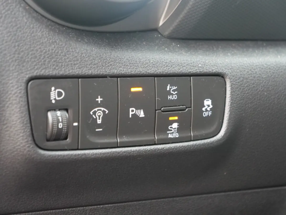 EV Premium Sky 64 kWh | schuifdak | leder | krell sound | slechts 36.000km..