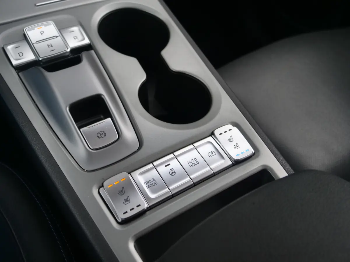 EV Premium Sky 64 kWh | schuifdak | leder | krell sound | slechts 36.000km..